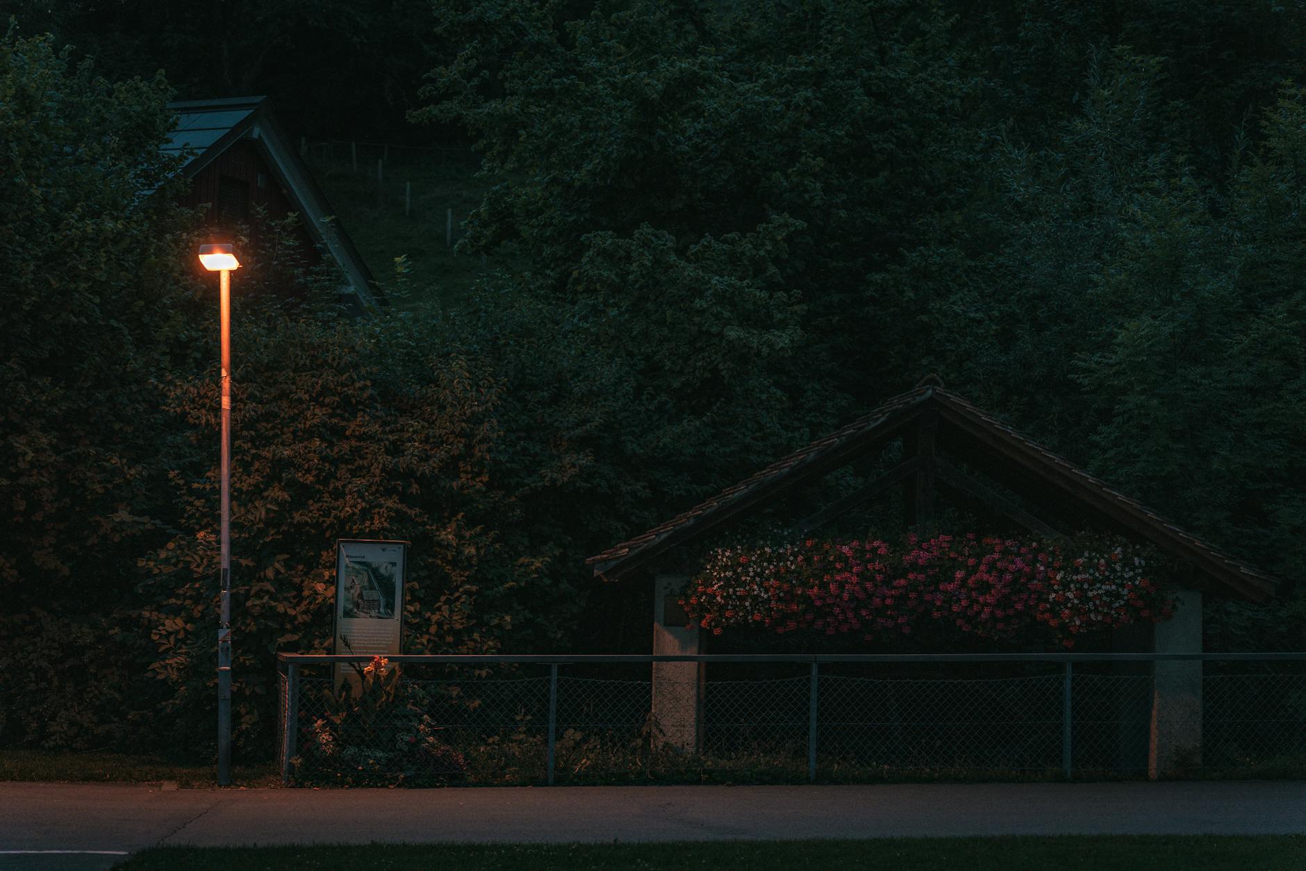 Słaba latarnia ogrodowa oświetla dom wśród zieleni nocą